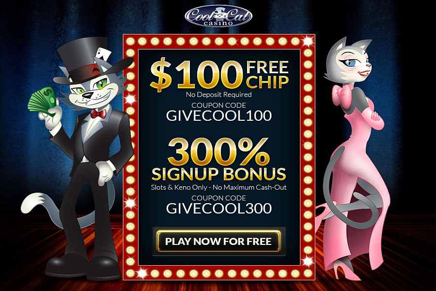 Cool Cat Casino No Deposit Casino Bonus Code